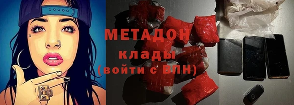 прущие грибы Беломорск